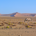 Namibia