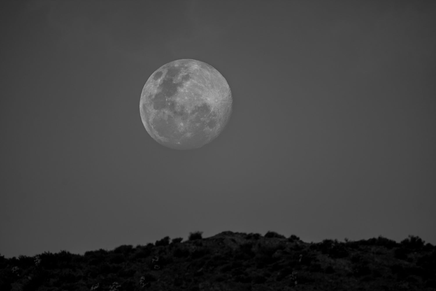 Karoo Moon